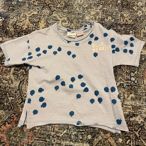 Zara Bluberry Shirt - Picture 1 of 1